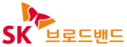 SK브로드밴드